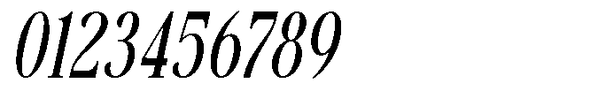 Savera Editorial Medium Italic Font OTHER CHARS
