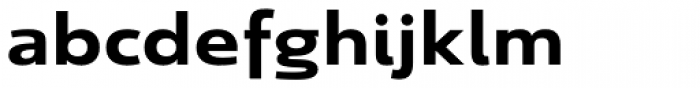 Savigny Bold Extended Font LOWERCASE