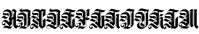 SabonetaV01N Bold Instance Font UPPERCASE
