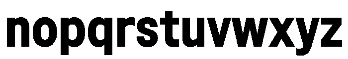 Sancy Bold Font LOWERCASE