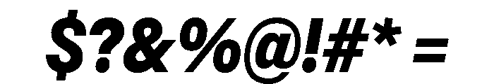 Sancy ExtraboldItalic Font OTHER CHARS