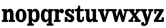 SancySlab Bold Font LOWERCASE