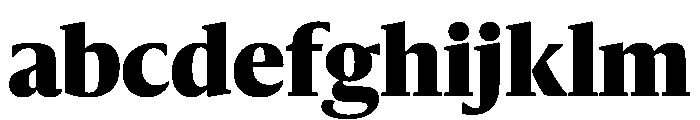 Sanomat Black FONT