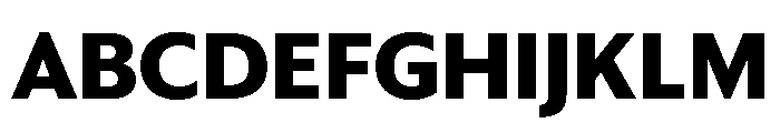 Sanomat Sans Bold Font UPPERCASE