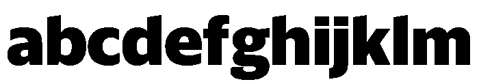 Sanomat Sans Extrabold FONT