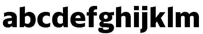 Sanomat Sans Text Extrabold FONT