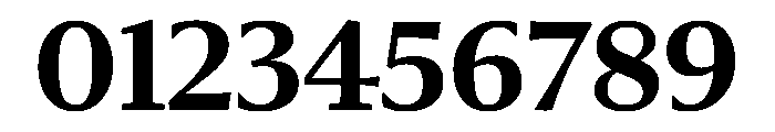 Sanomat Text Bold Font OTHER CHARS