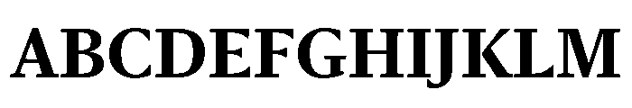 Sanomat Text Bold Font UPPERCASE