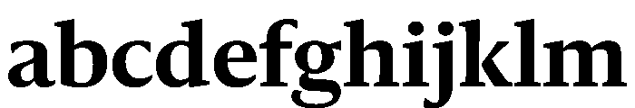 Sanomat Text Bold FONT