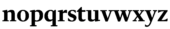 Sanomat Text Bold Font LOWERCASE