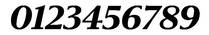 Sanomat Text Extrabold Italic Font OTHER CHARS