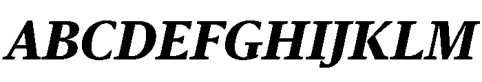 Sanomat Text Extrabold Italic Font UPPERCASE