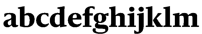 Sanomat Text Extrabold FONT