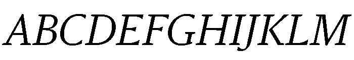 Sanomat Text Light Italic Font UPPERCASE