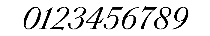 SaolText RegularItalic Font OTHER CHARS