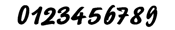 SayerScript Regular Font OTHER CHARS