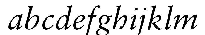 SabonLTStd-Italic Font LOWERCASE