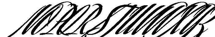 Savanna Script Black Font UPPERCASE