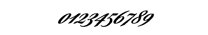 Savanna Script Bold Font OTHER CHARS