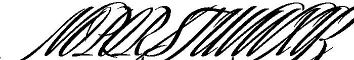 Savanna Script Bold Font UPPERCASE