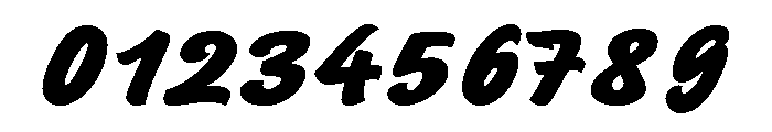 Sayer Script Black Font OTHER CHARS