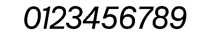 SBReimannStd Italic Font OTHER CHARS
