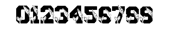 Scholar Thanksgiving Font OTHER CHARS
