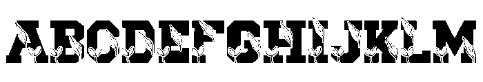 Scholar Thanksgiving FONT