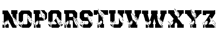 Scholar Thanksgiving Font LOWERCASE
