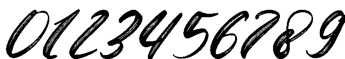 Scribelle Italic Font OTHER CHARS