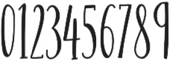 Scoops Serif otf (400) Font OTHER CHARS