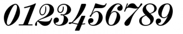Scotch Micro Bold Italic Font OTHER CHARS