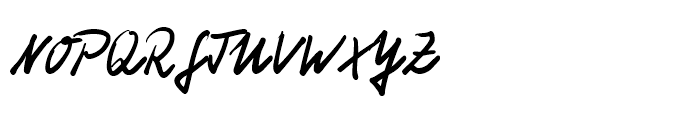 Schneid Handwriting Pro Regular Font UPPERCASE