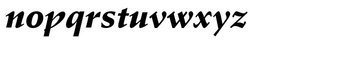 Schneidler Black Italic Font LOWERCASE