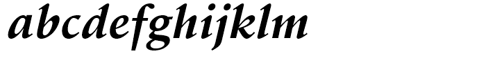 Schneidler Bold Italic Font LOWERCASE