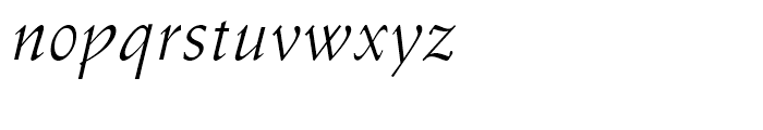 Schneidler Italic Font LOWERCASE