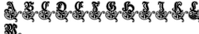 Schneidler Zierbuchstablen Lined Font LOWERCASE