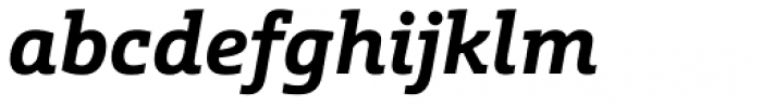 Schnebel Slab Pro Bold Italic Font LOWERCASE