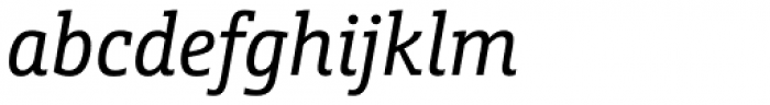 Schnebel Slab Pro Condensed Italic Font LOWERCASE