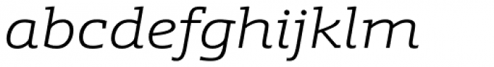 Schnebel Slab Pro Expanded Light Italic Font LOWERCASE