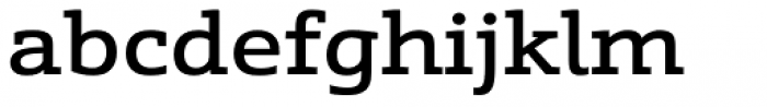 Schnebel Slab Pro Expanded Medium Font LOWERCASE