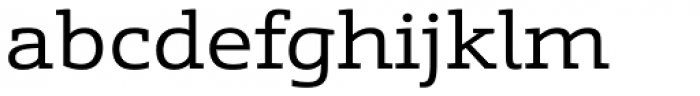 Schnebel Slab Pro Expanded Font LOWERCASE