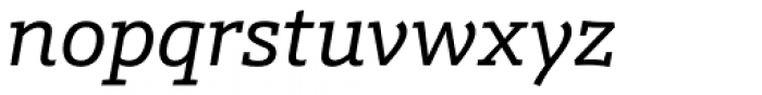 Schnebel Slab Pro Italic Font LOWERCASE