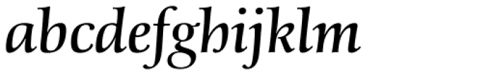 Schneider-Antiqua BQ Italic Font LOWERCASE