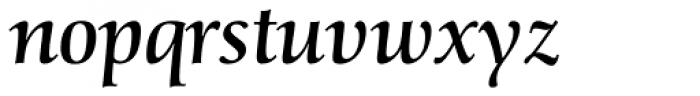 Schneider-Antiqua BQ Italic Font LOWERCASE