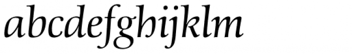 Schneider-Antiqua BQ Light Italic Font LOWERCASE