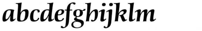 Schneider-Antiqua BQ Medium Italic Font LOWERCASE