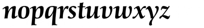 Schneider-Antiqua BQ Medium Italic Font LOWERCASE