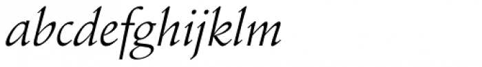 Schneidler Amalthea Italic Font LOWERCASE