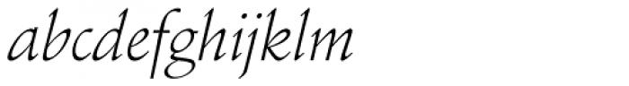 Schneidler Amalthea Light Italic Font LOWERCASE